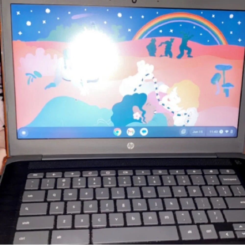 14 inch HP Chromebook